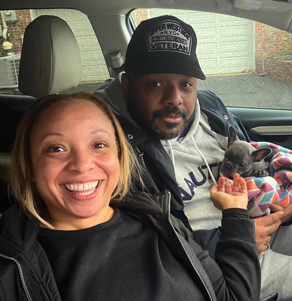 french bulldog puppies $500