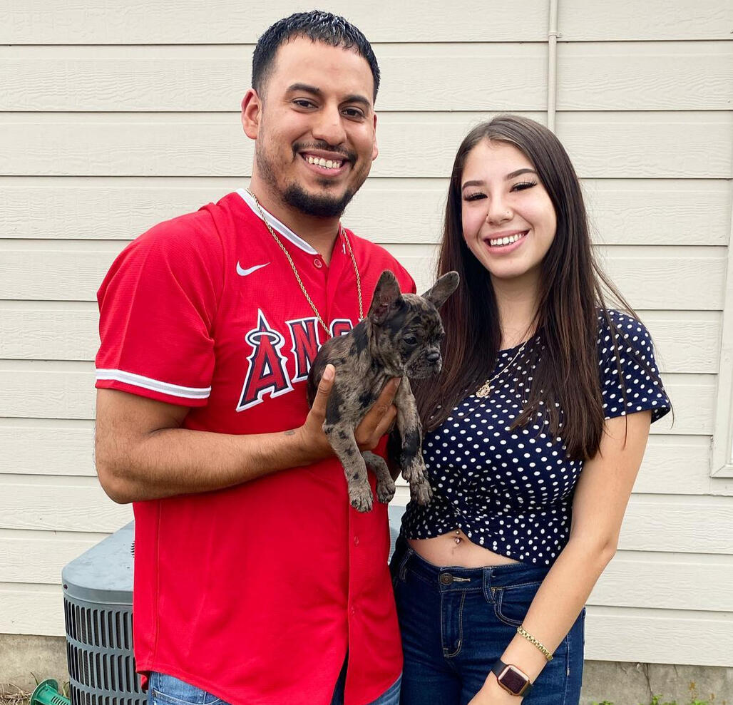 french bulldog puppies for sale